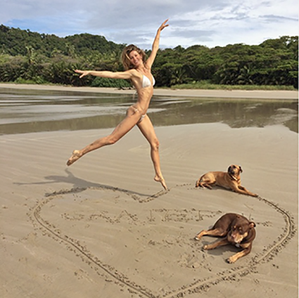 body summer plage chien